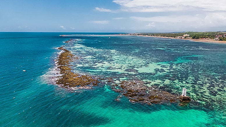 A Baia de Todos os Santos pode ganhar um novo parque marinho em Vera Cruz