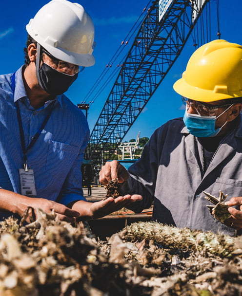 Trabalho de análise da carbono 14
