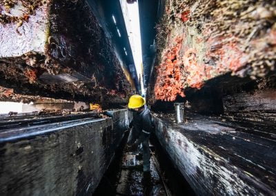 Carbono 14 monitoramento de coral sol