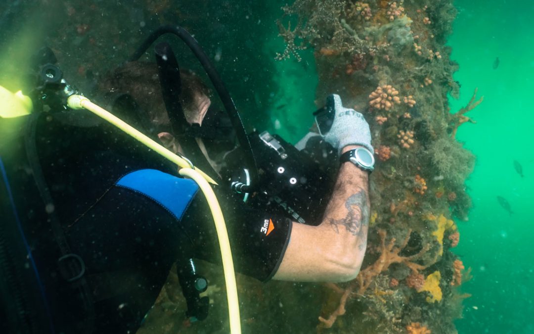 Hoje é o dia de comemorar a figura do pesquisador e da ciência nacional