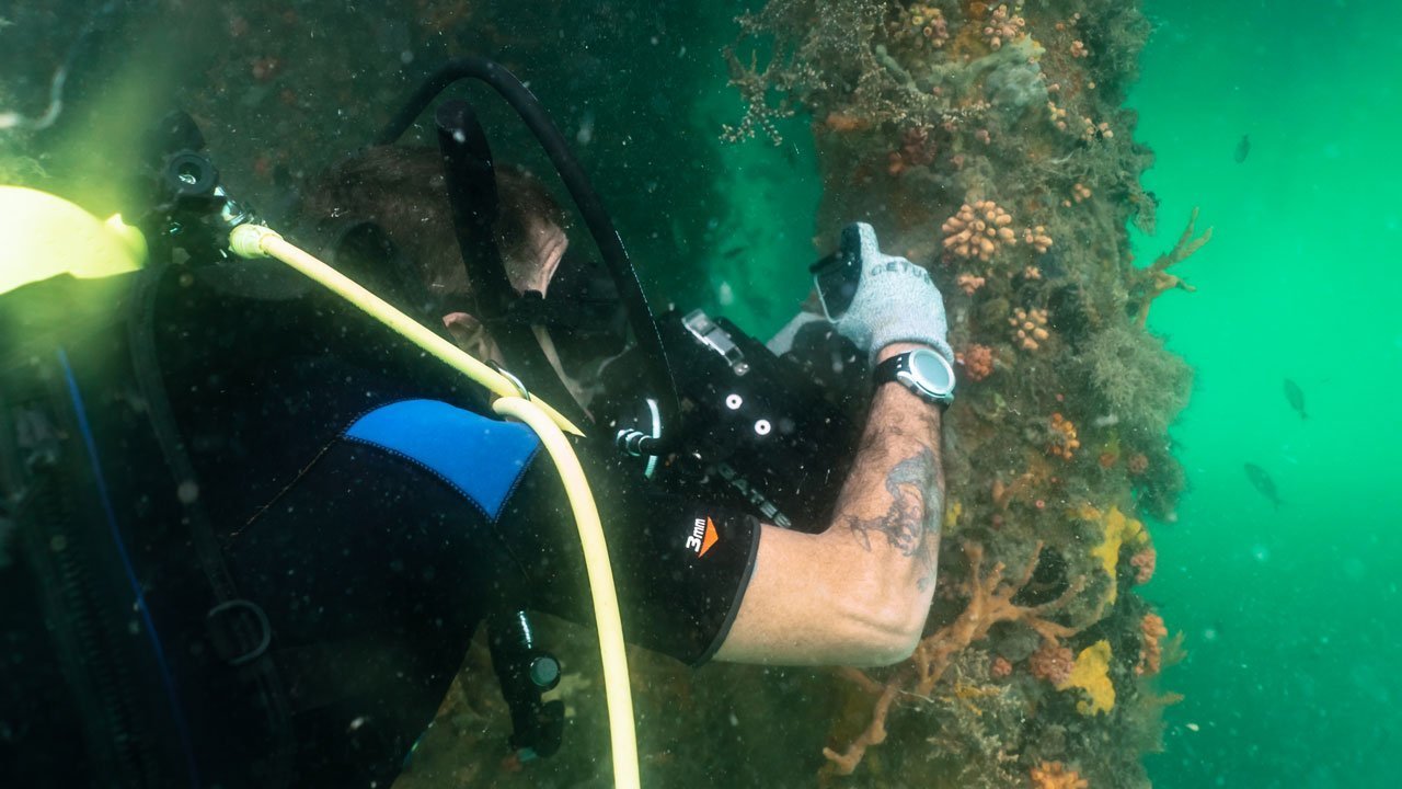 Pesquisador da carbono 14