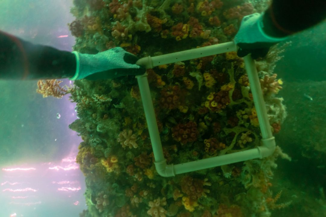 Monitoramento de dragagem