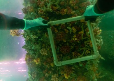 Monitoramento de dragagem