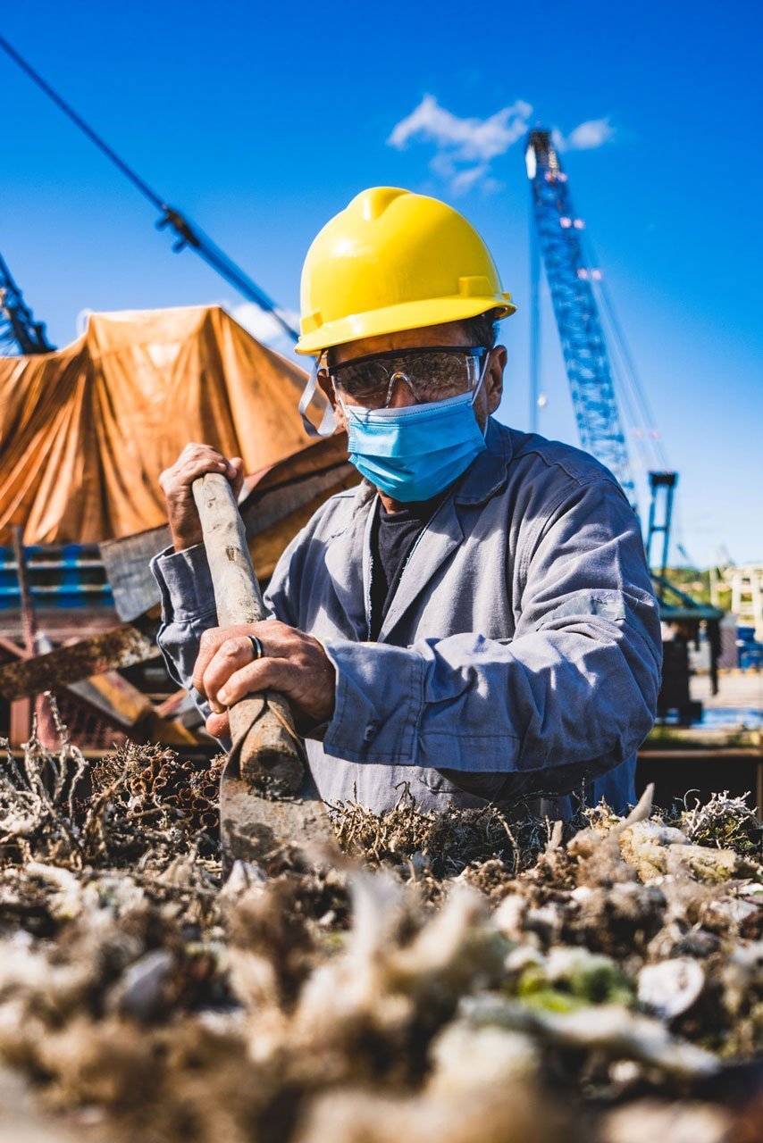 Zé pescador removendo coral sol