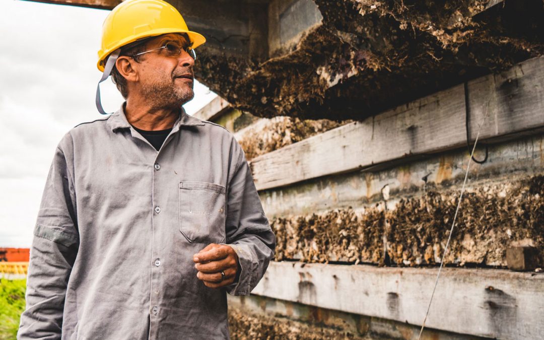 Nesta segunda, nosso CEO participará do Talks Live!