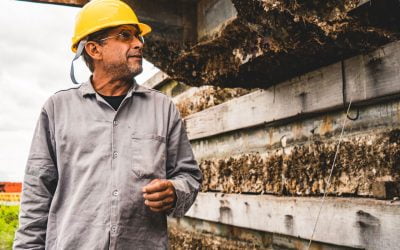 Nesta segunda, nosso CEO participará do Talks Live!