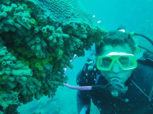 Mergulhador da carbono 14