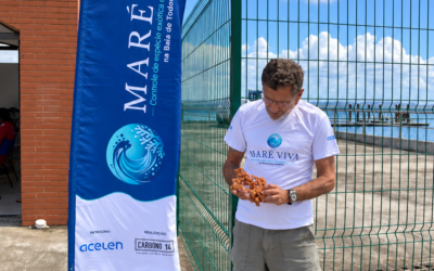 Maré Viva: ações de conservação em Itaparica ganham destaque na imprensa